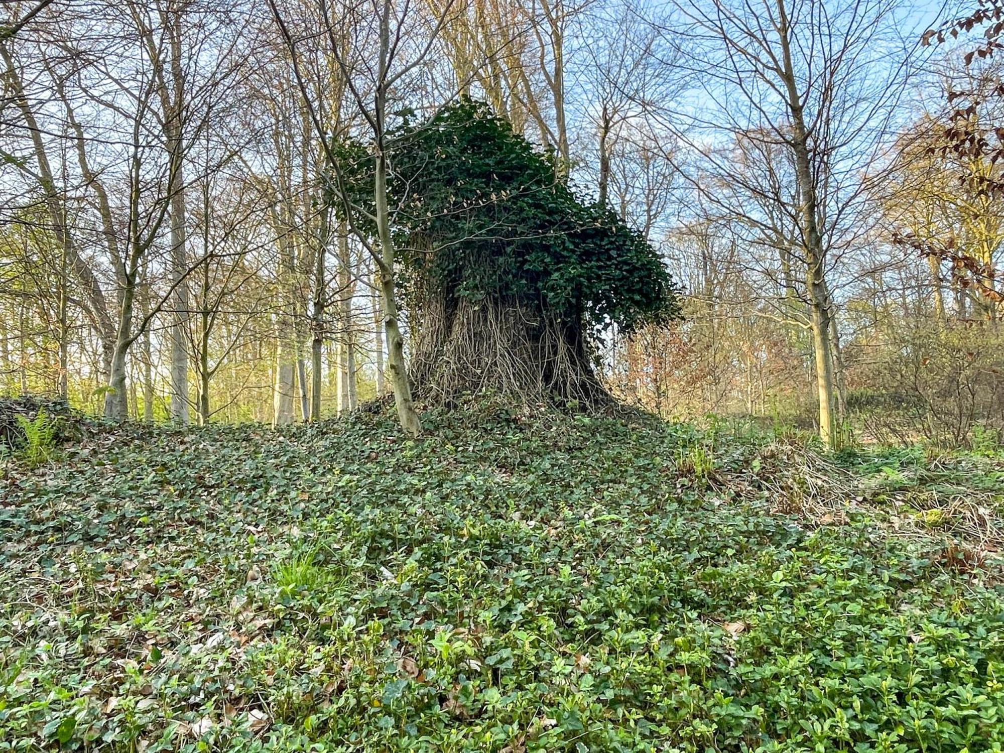 Landhaus Beim Knoops Park BRE 外观 照片